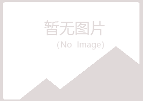 鹤壁鹤山如霜化学有限公司